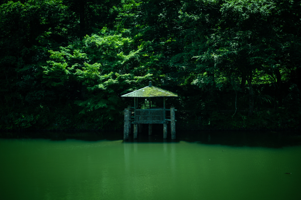 緑の小屋