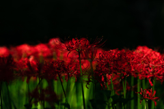 華炎