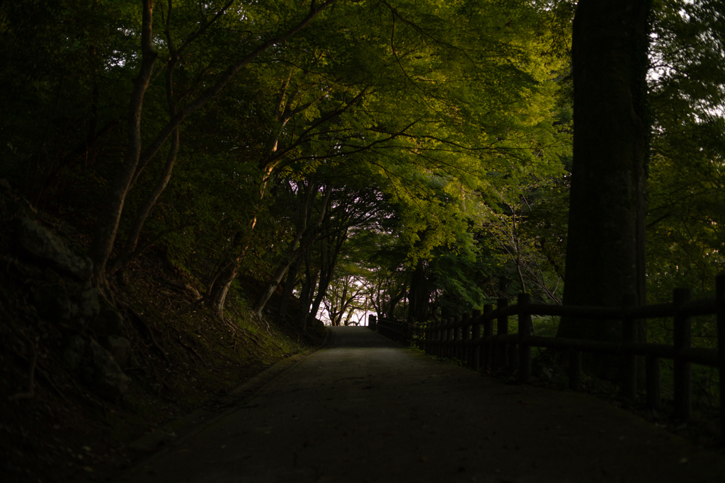 公園