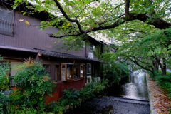 水路だらけ