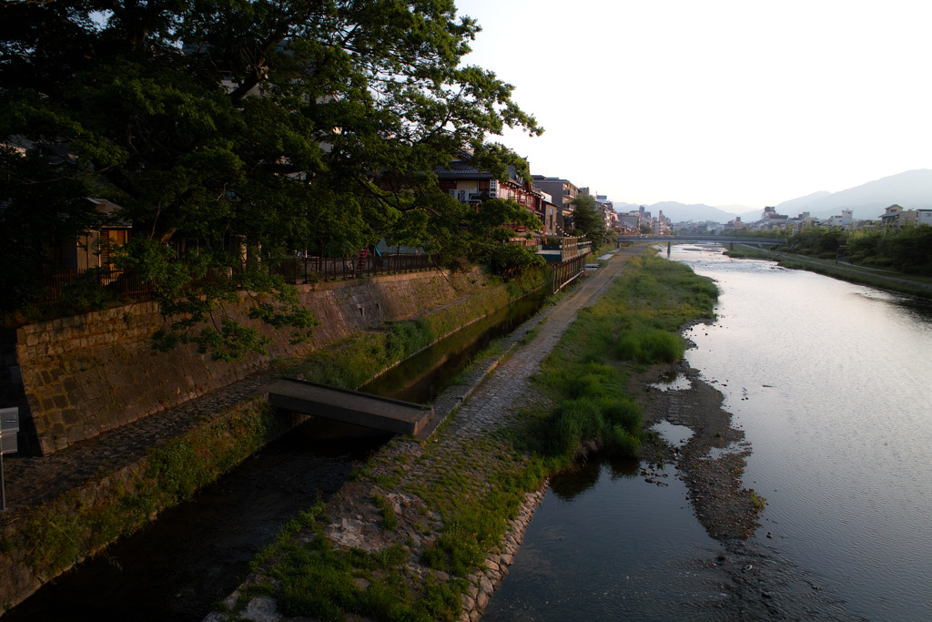 早朝の鴨川