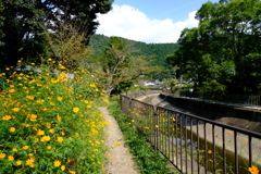 琵琶湖疎水巡り(安祥寺水路閣辺り)