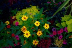 花