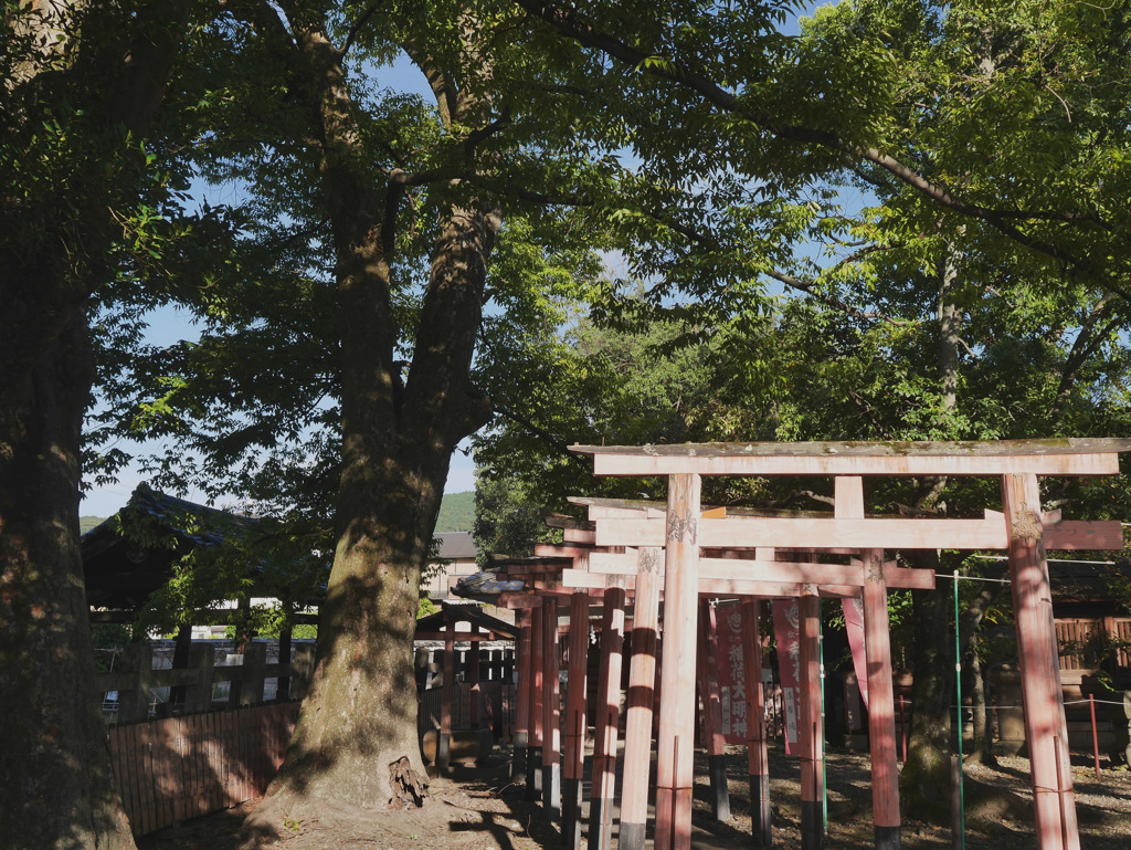 槇本稲荷神社
