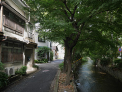 五条楽園界隈の佇まい