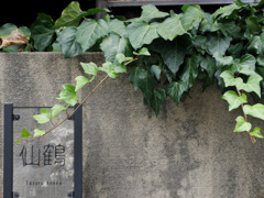 仙鶴
