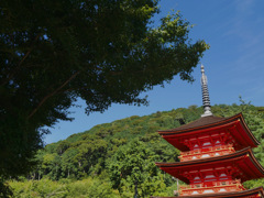 清水寺子安塔