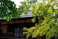 ま～だだよ