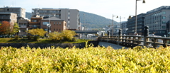 kamogawa