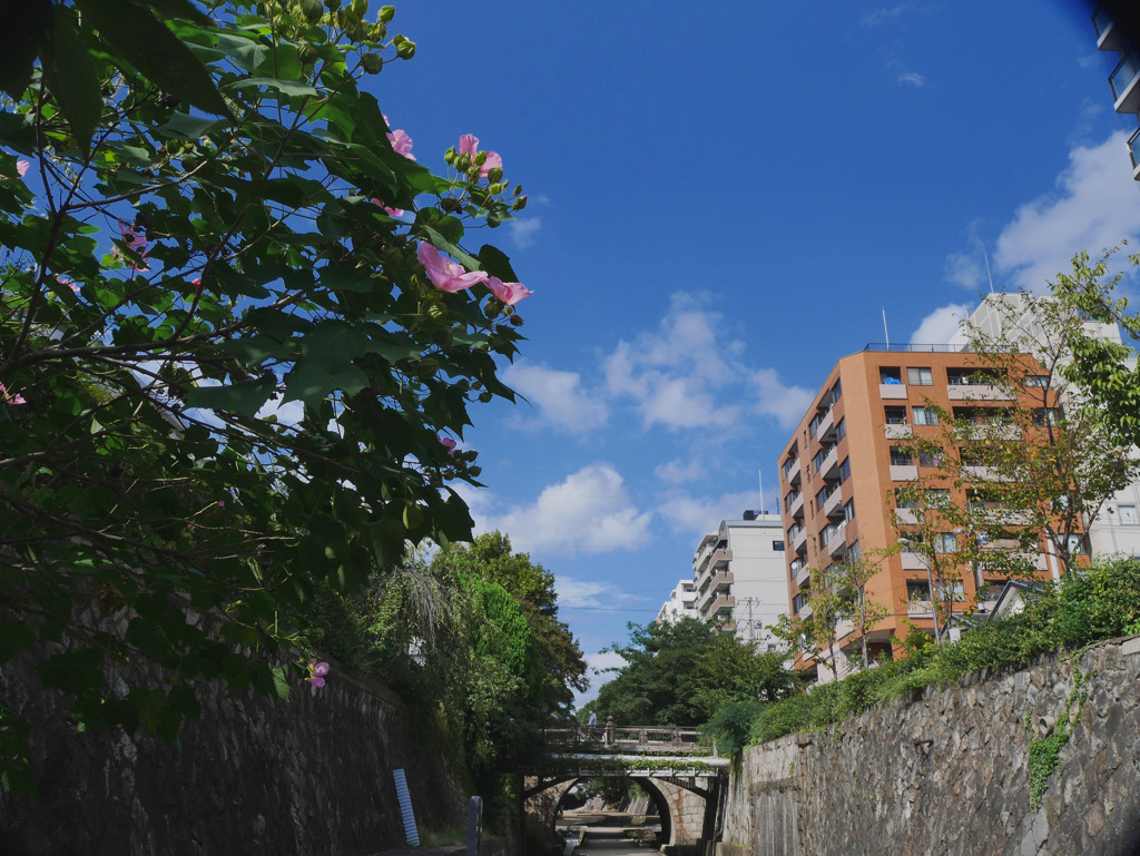 京都堀川の遊歩道にて