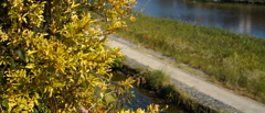 kamogawa