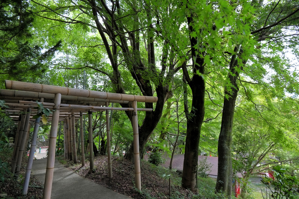 鳥居
