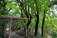 鳥居