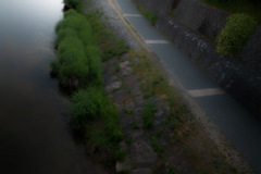 早朝の鴨川