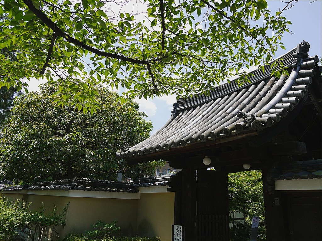 日差し