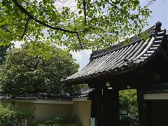 日差し