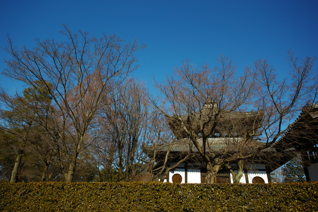 東福寺③
