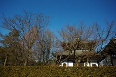 東福寺③