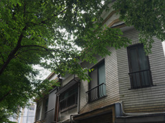 五条楽園界隈の佇まい