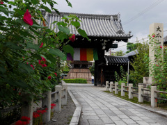 秋のお寺