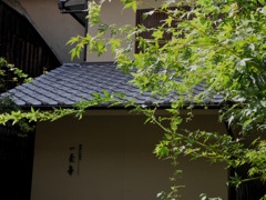 京都散策