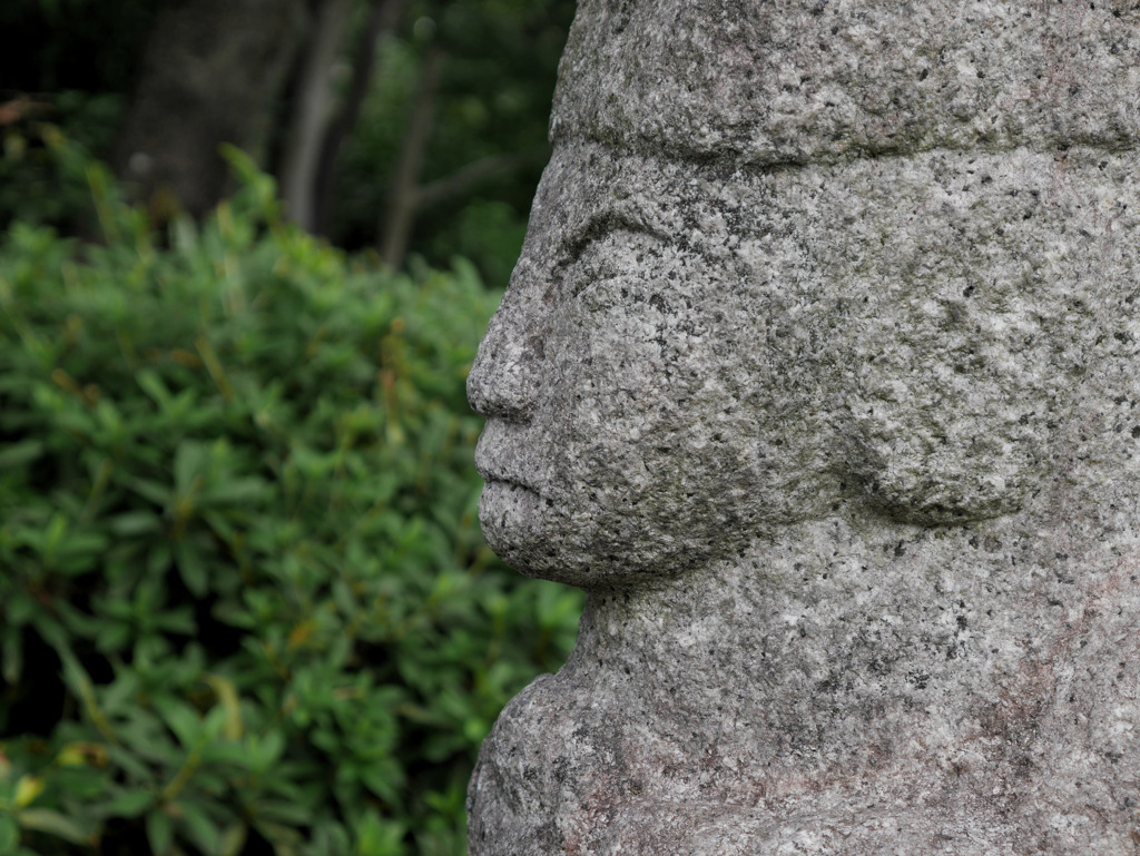 京都神泉苑