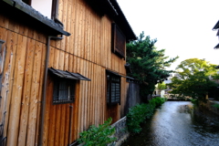 杉