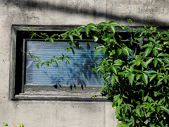 京都散策中