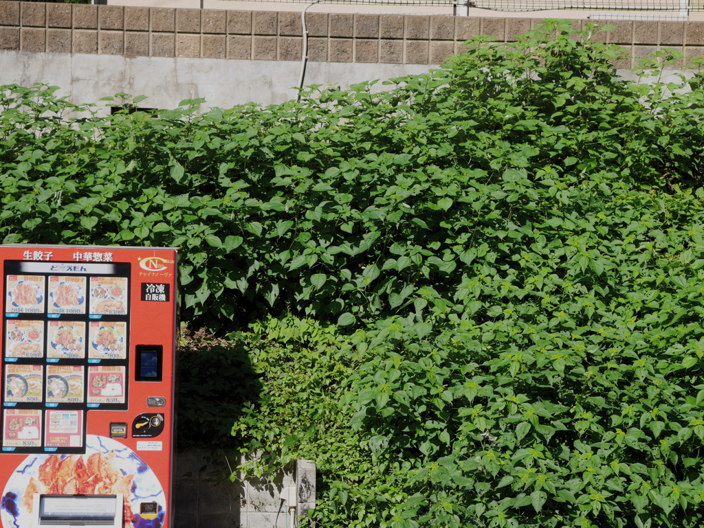 チャイナノーヴァ 自販機1号機(生餃子・中華惣菜)