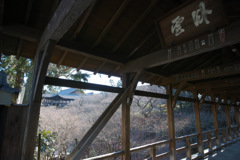 東福寺②