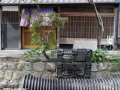 五条楽園界隈