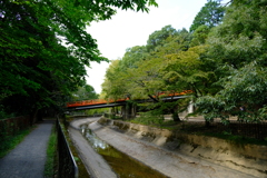 朱