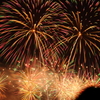 来年もまた来ようね