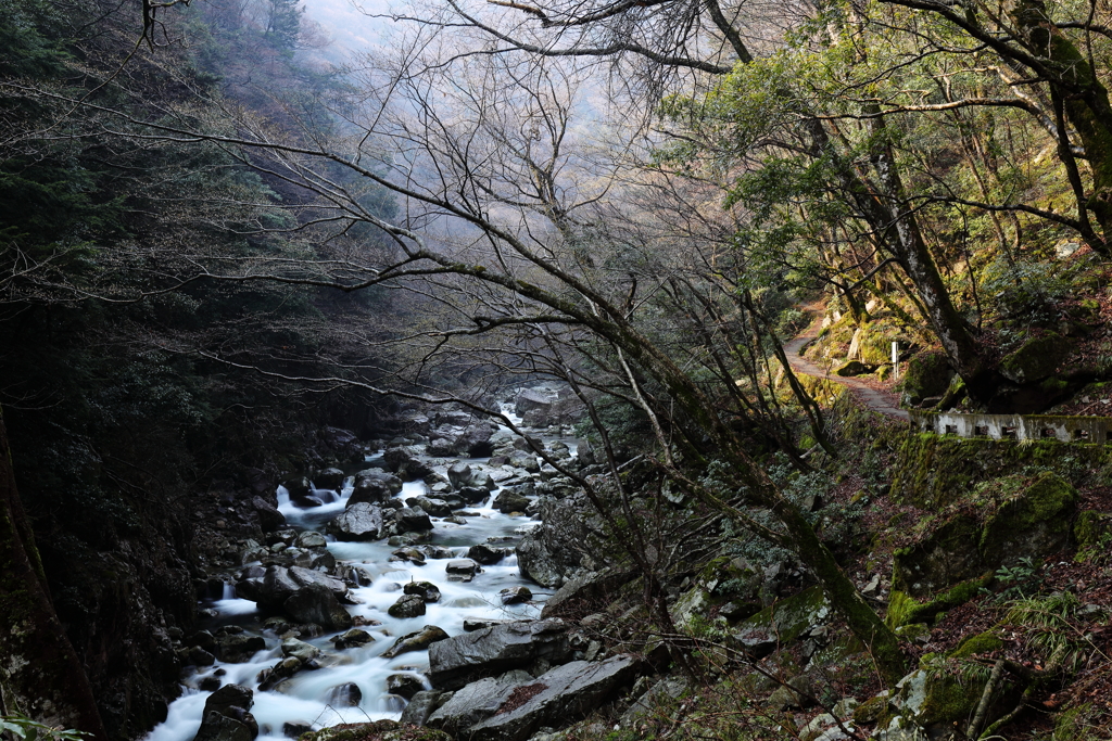 冬の三段峡の朝①