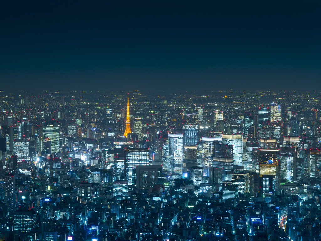 ビル街に浮かぶ東京タワー