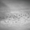雲の中