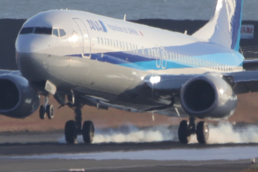 宮崎空港にて