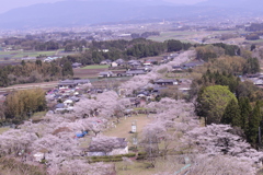 母智丘(もちお)神社から