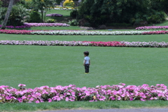 花公園で一人ぼっち