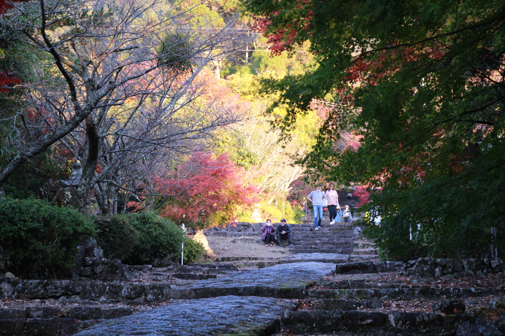 英彦山の紅葉