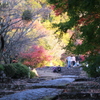 英彦山の紅葉