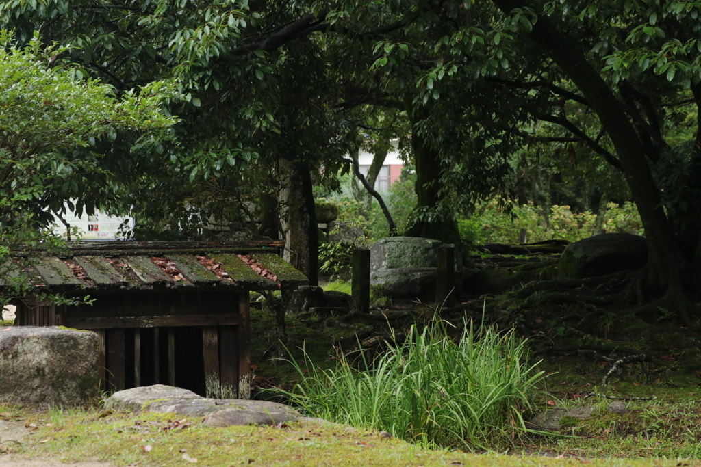 観世音寺