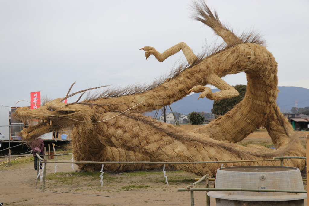 龍
