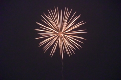 空に咲く花