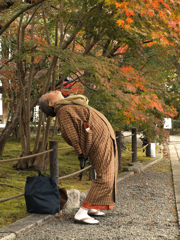 天の紅葉