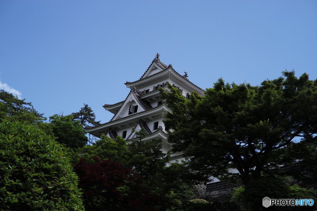 郡上八幡城