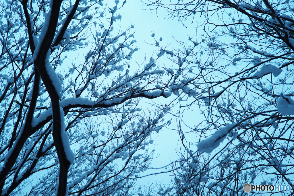 雪