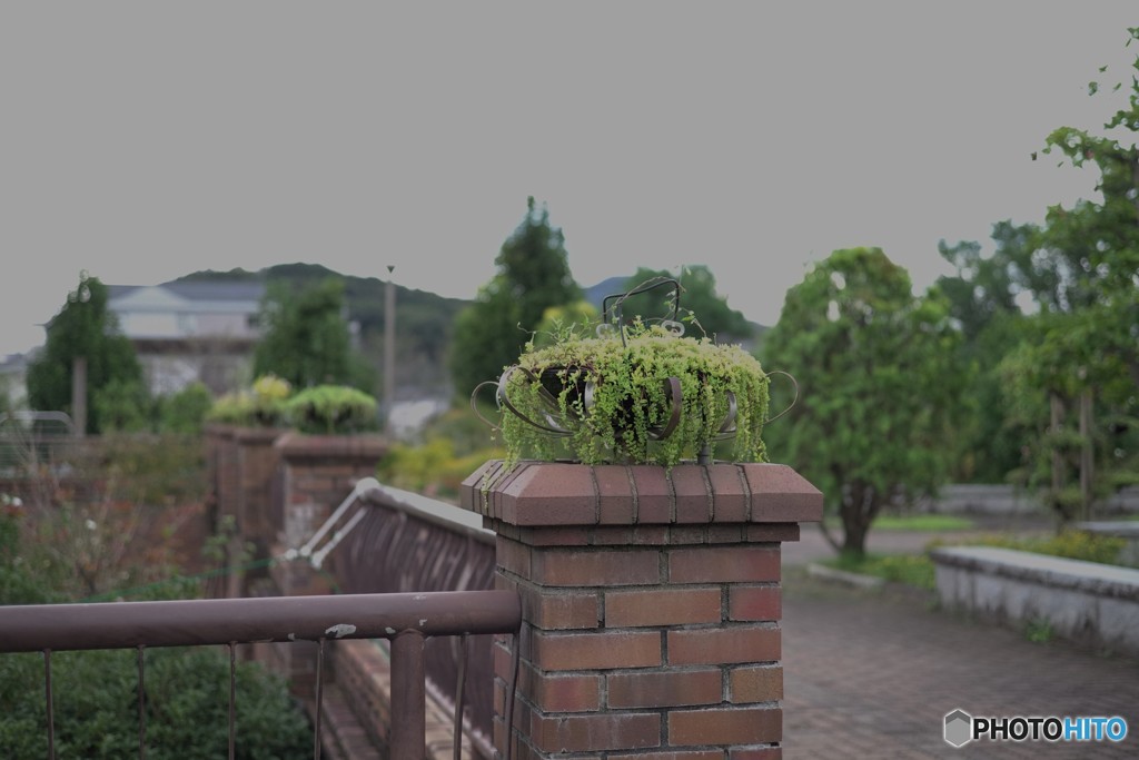 長良公園にて