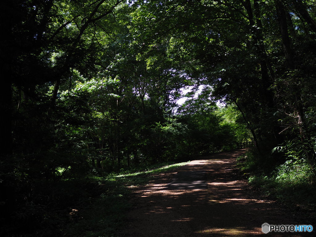 山道