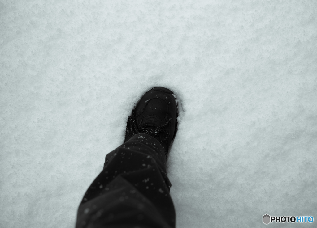突然の積雪